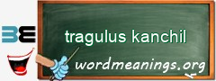 WordMeaning blackboard for tragulus kanchil